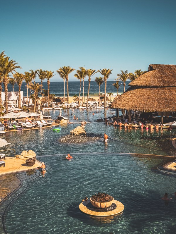 A resort swimming pool with palms, loungers and a thatched-roof structure.