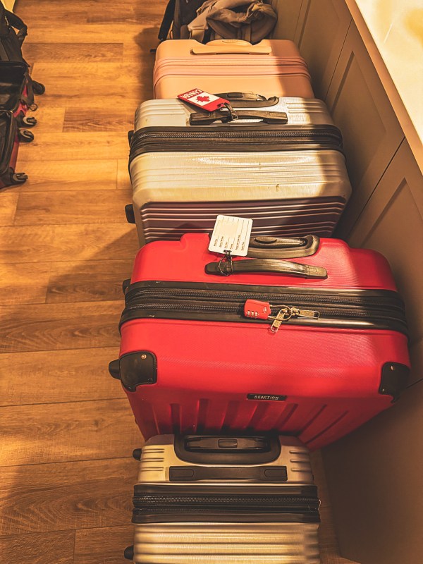 A row of suitcases in different colours and sizes.