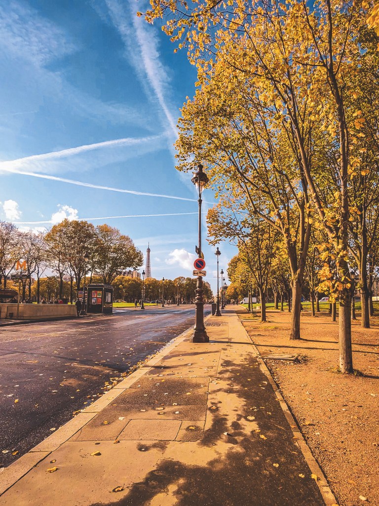 A tree-lined Paris pavement beside a road under a blue sky.