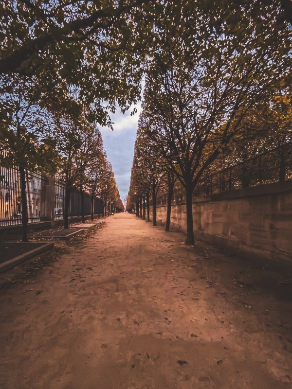 A tree-lined gravel walkway in Paris.