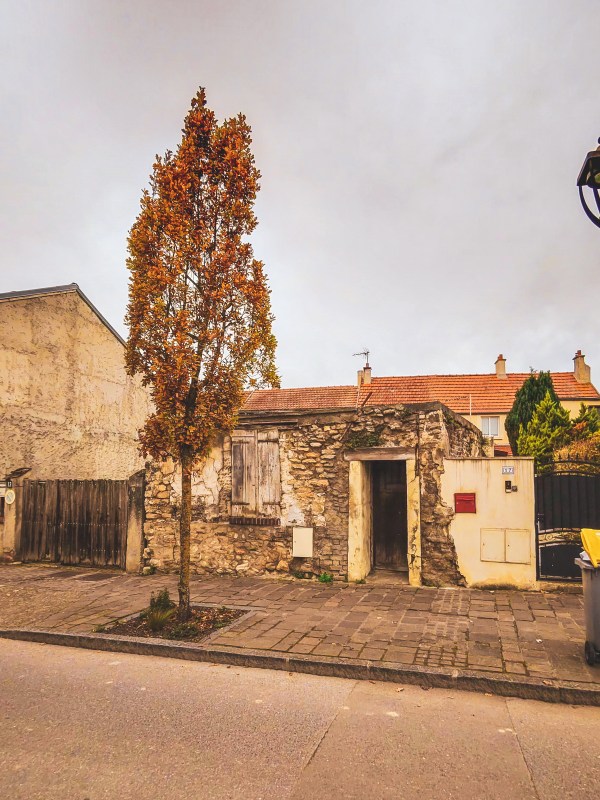 A tree beside a low stone building in Roissy-en-France.