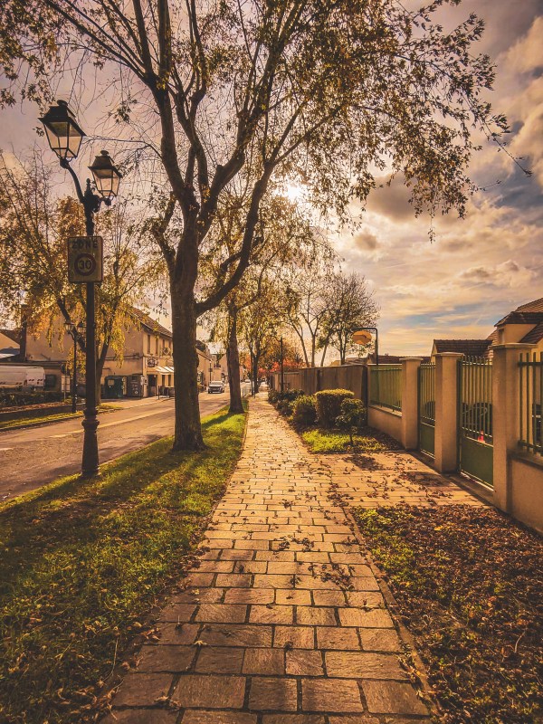 An autumn tree-lined path in Roissy-en-France.