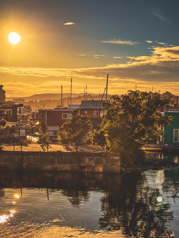 A sunset over Victoria’s waterfront with reflections and moored boats.