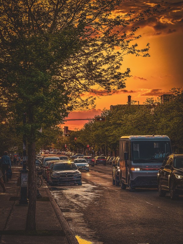 Tree-lined city street and vehicles at sunset.