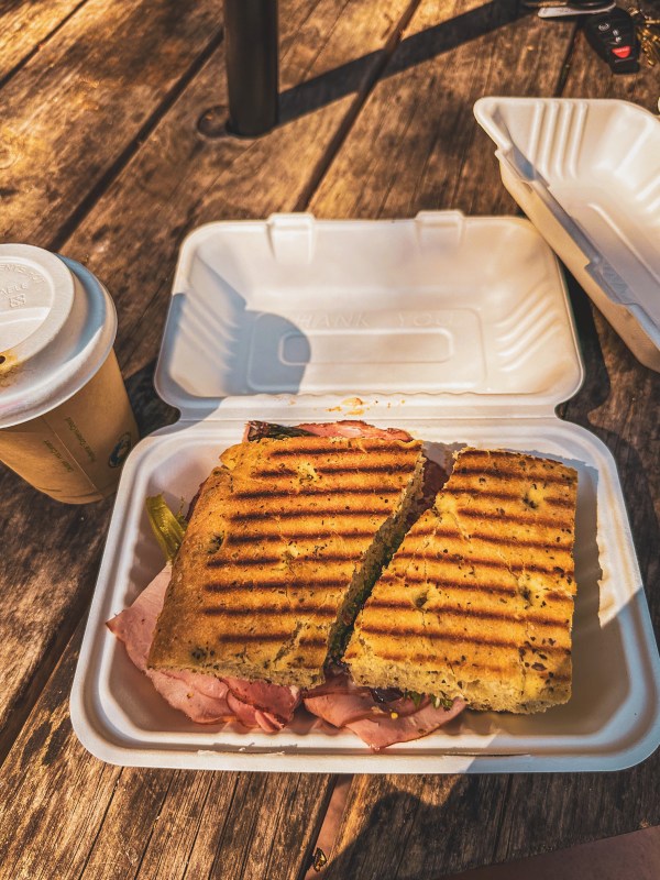 Grilled sandwich in an open takeaway container.
