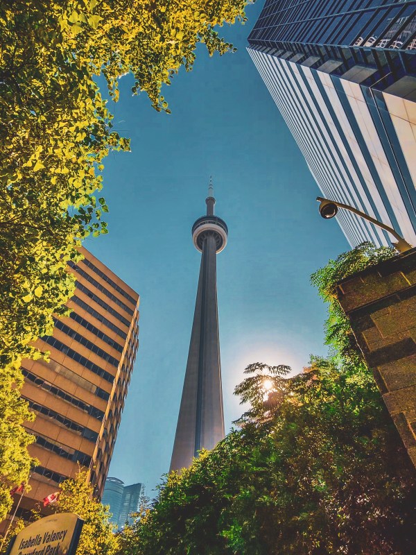 CN Tower framed by trees and city buildings.