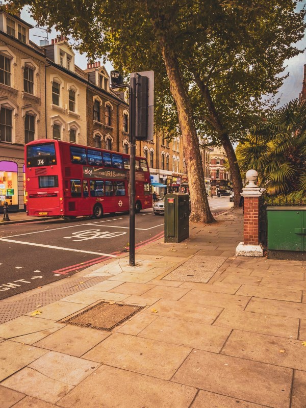 Red double-decker bus on a tree-lined London street.